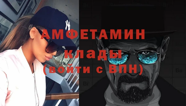 мдпв Михайлов