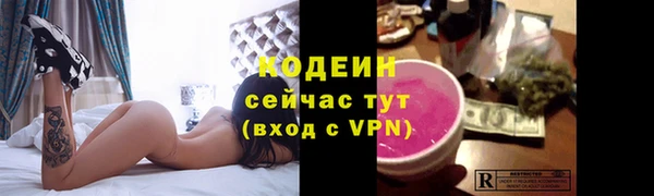 мдпв Михайлов
