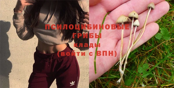 прущая мука Михайловка