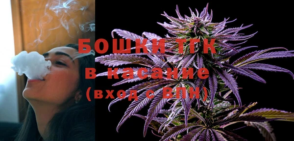 мдпв Михайлов