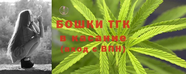 мдпв Михайлов