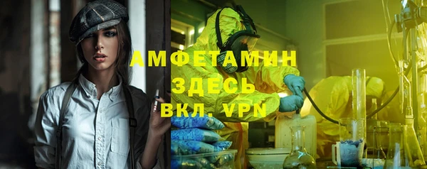 гашик Апатиты
