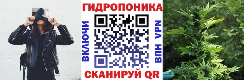 Бошки Шишки семена  Красково 